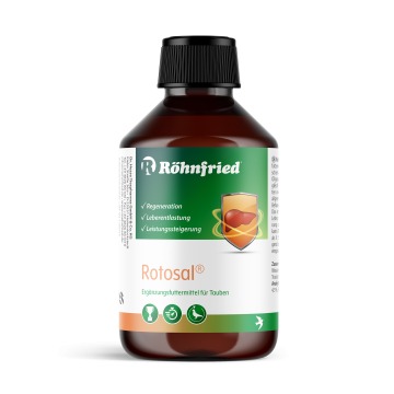Rohnfried - Rotosal