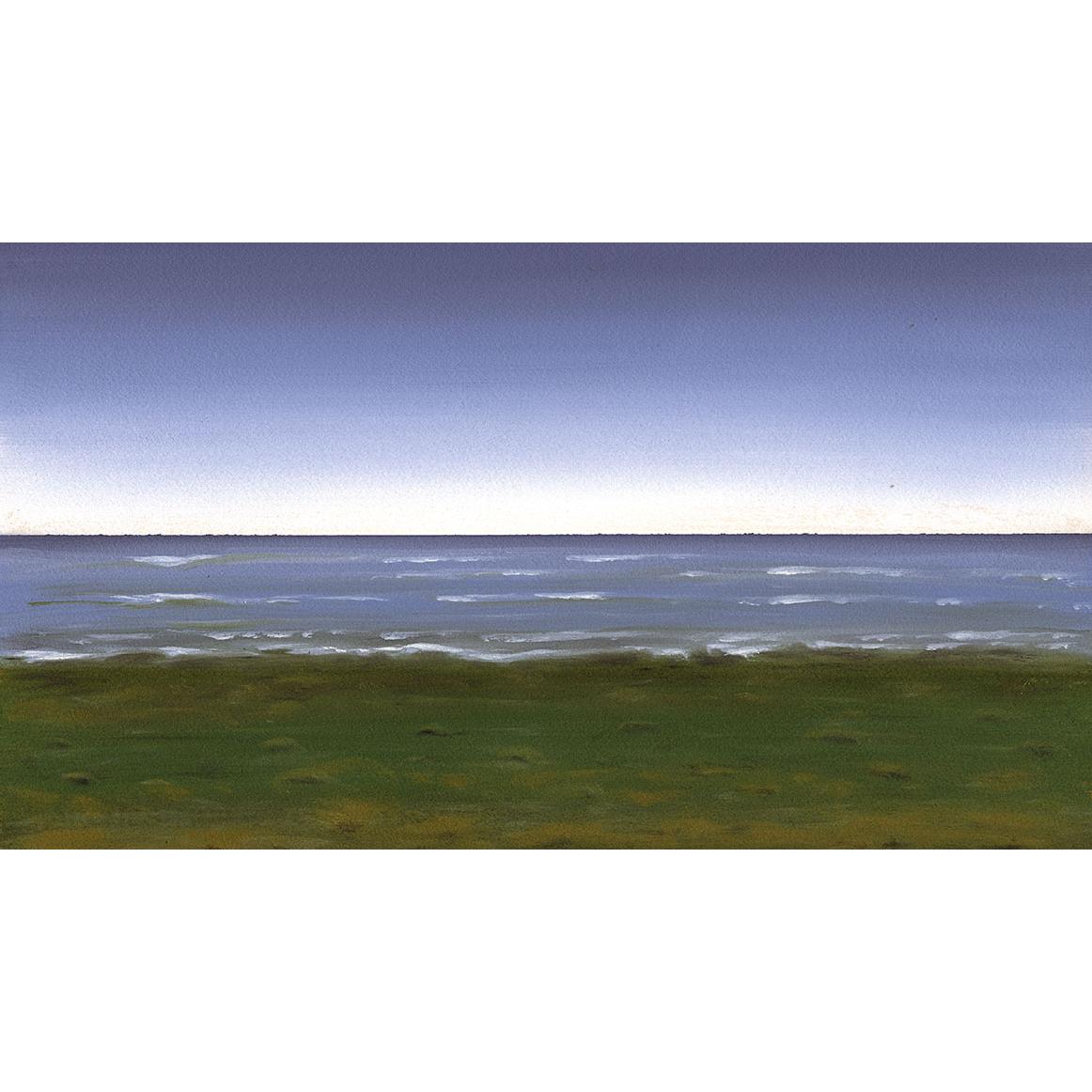 Cuadro decoración pared LIENZO SIN ENMARCAR grande horizontal paisaje "ALGA Y SAL" 140x75 160x90 Lienzo de alta calidad salon comedor hall dormitorio Oleo marina Verde alga azul gris Contemporáneo naturaleza costa Vegetación Ref ANA DURAN 424