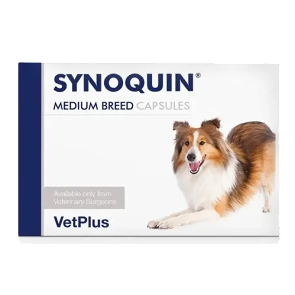 Synoquin razas medianas 30 cápsulas suplemento para el cuidado de las articulaciones VetPlus