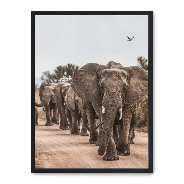 Lámina con marco negro ELEPHANT HERD II 21x30 cm, Póster impreso en papel de primera calidad de 180gr, montado sobre marco de madera MDF acabado en negro., Naturaleza - Safari