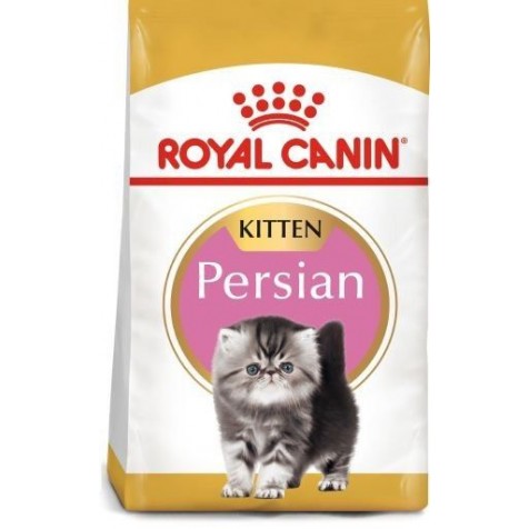 Royal Canin Gato Kitten Persian 4 Kg