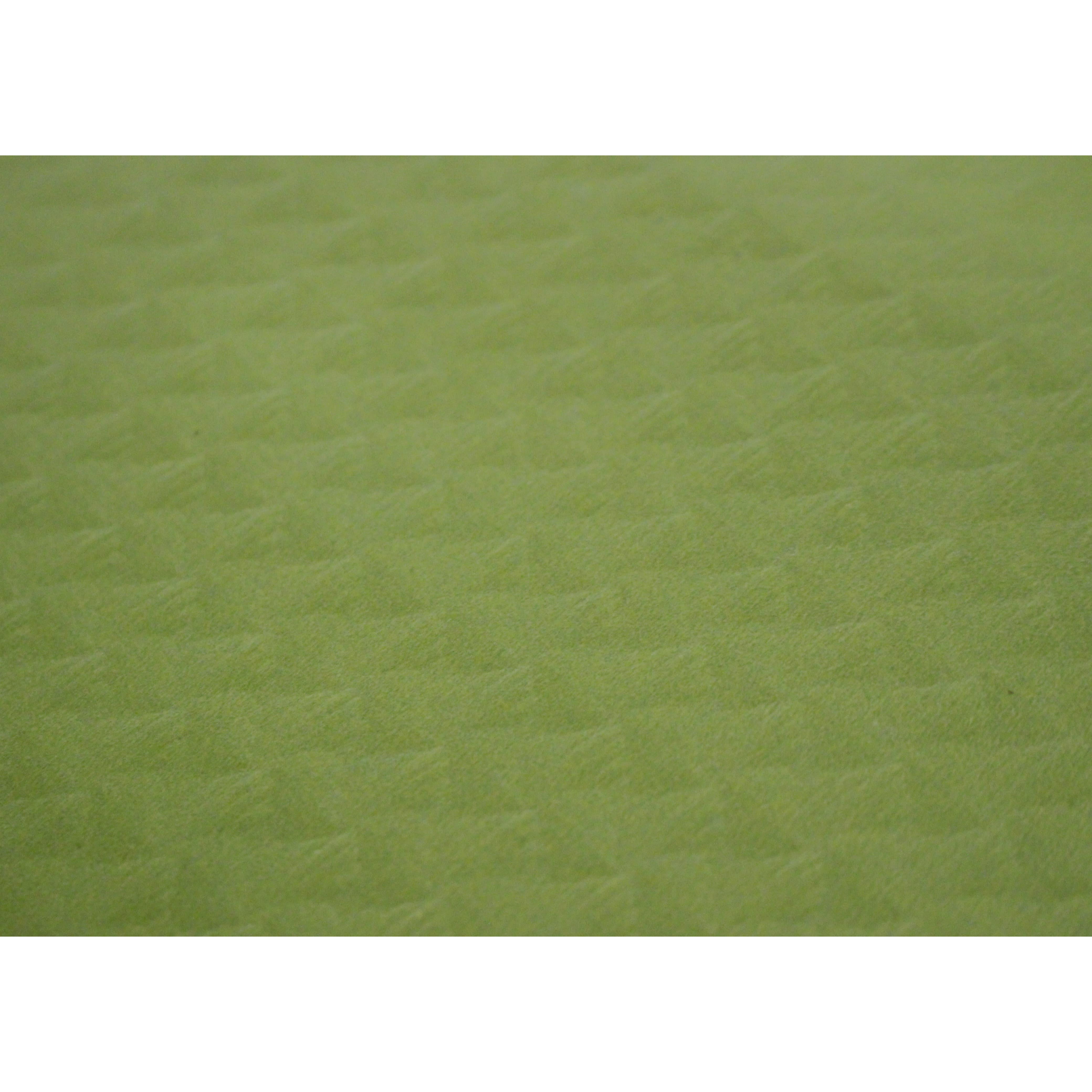 MONOUSO | Mantel de Papel Cortado 1x1m Pistacho 40g (400 Uds)