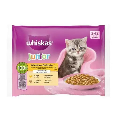 Whiskas Comida Húmeda Pure Delight Junior Selección de Pollo en Gelatina para Gatitos - 4x85 gr