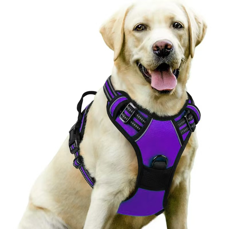 Pet dog chest and back leash, multi-layer integrated dog leash, chest harness, pet supplies