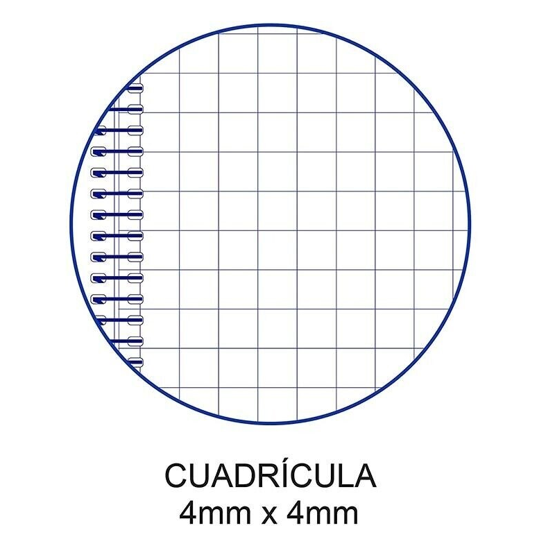 Pack 4 Cuaderno libreta Cervantes espiral forrado tapa plastico 80 hojas A4 90 g A4 diferentes colores