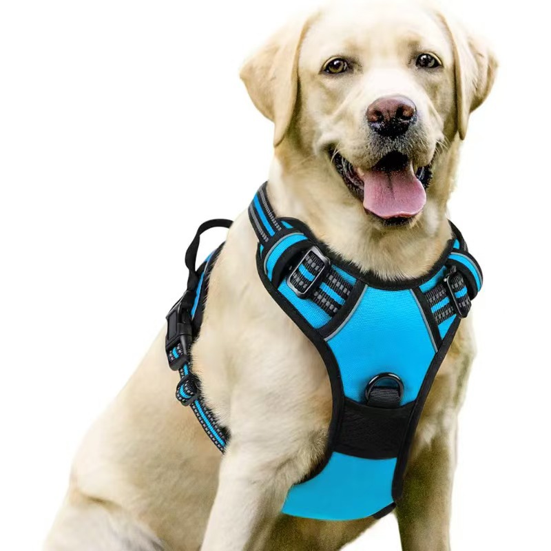 Pet dog chest and back leash, multi-layer integrated dog leash, chest harness, pet supplies