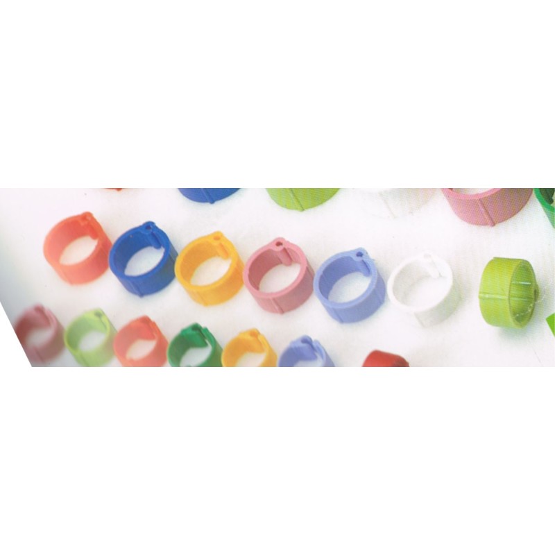 Benelux - ANILLA PLASTICO PALOMAS 8mm 100 udsBolsa