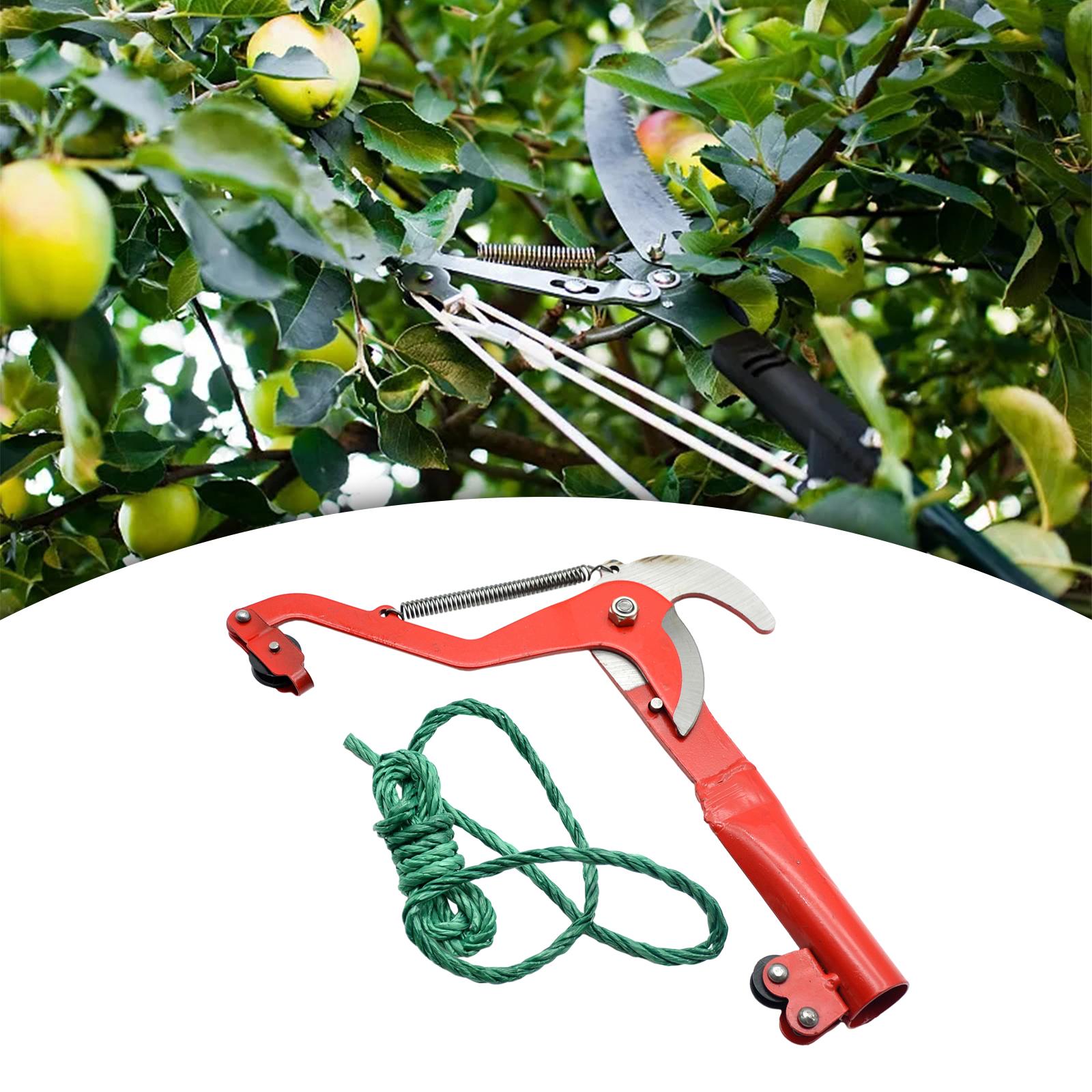 TK Tijeras De Podar Profesionales De Alta Altura Con Cordón Herramientas De Jardín Para Cortar Ramas Y Frutas Durable Y Afilada