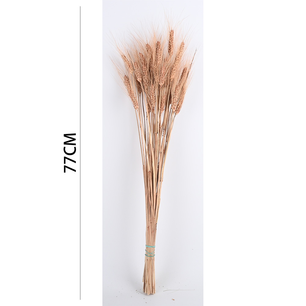 Poenia Arte Floral - Trigo Preservado 77cm - REF 7152 - Decoración del Hogar - DIY para Mesa - Boda