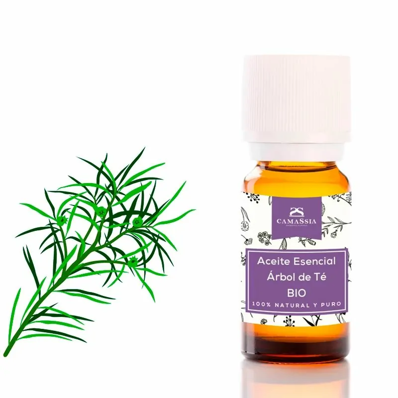 Camassia Aceite Esencial de árbol de Té BIO 100% Natural - Melaleuca Alternifolia