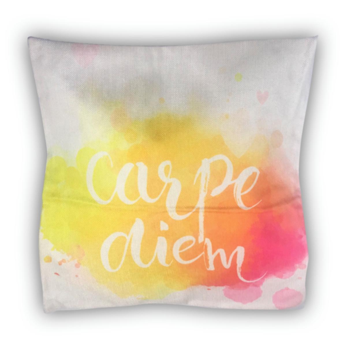COJIN AMIKO CON CREMALLERA MODELO DIEM 42X42 CMS