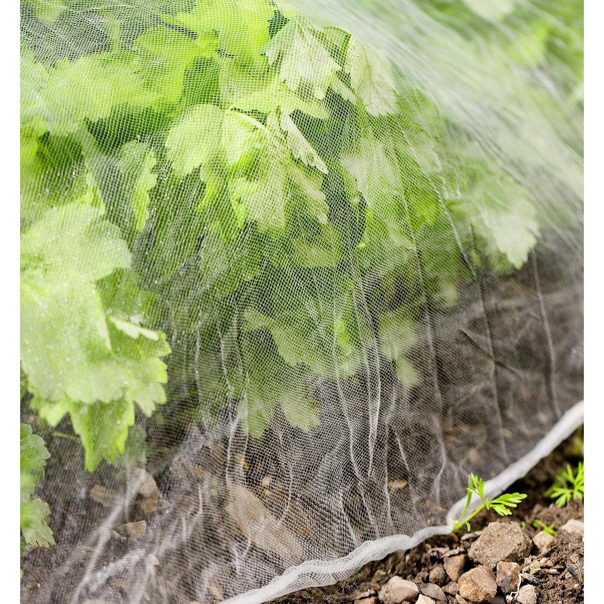 Malla antiinsectos - Suministros de jardinería - Protección de cultivos - Malla antipájaros - Protección de estanques - Malla para huertos - Blanca 2 x 5 m - Malla antiinsectos contra moscas de la col y pájaros - Malla antiinsectos para huertos - Redes