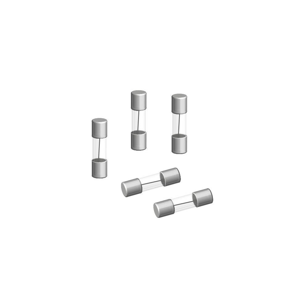 Fusible rápido de cristal 5x20mm 1A (pack 5 )