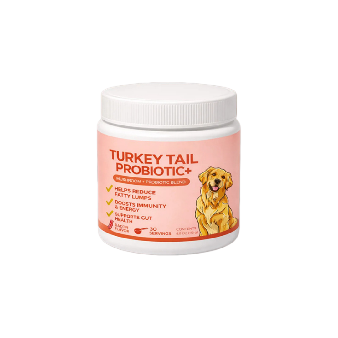 Suplemento para perros – Polvo de hongo cola de pavo (Turkey Tail), 60g / 100g