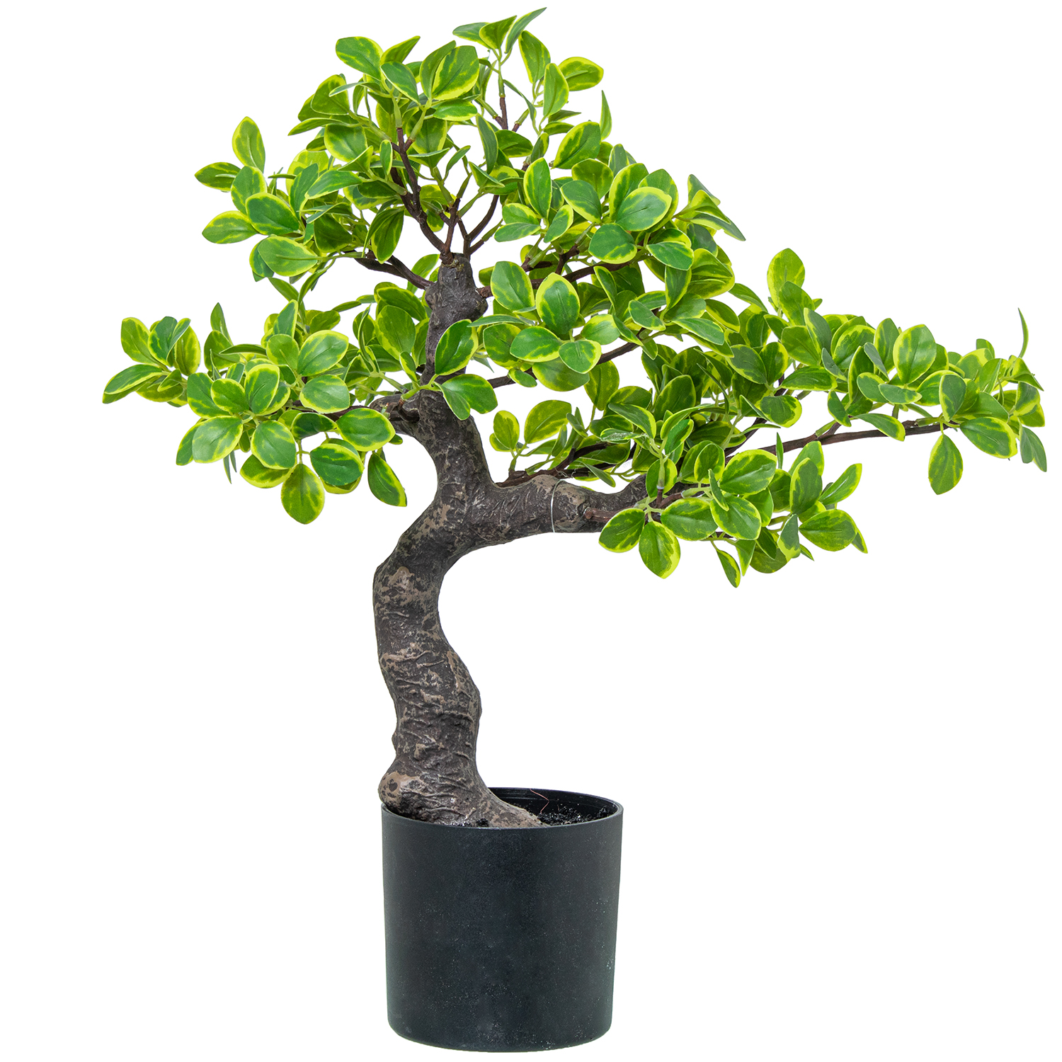Planta artificial euonymus 45cm 45cm