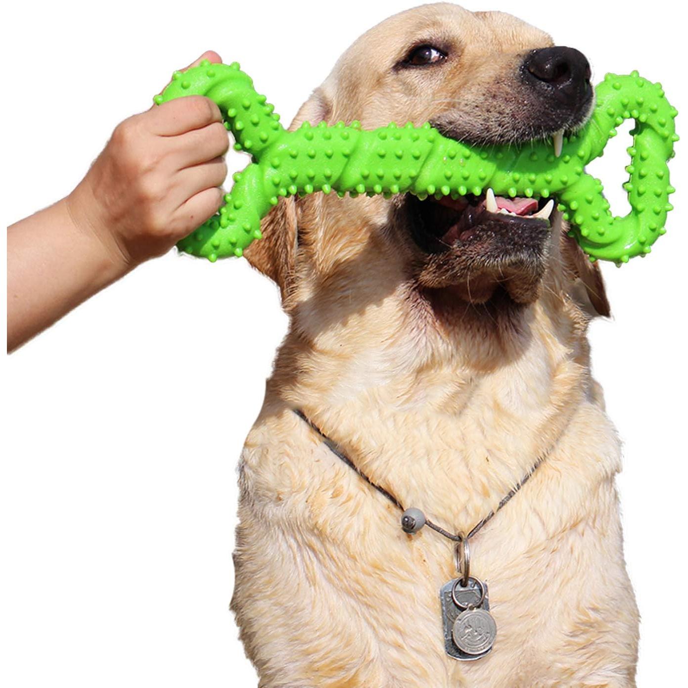 Duros Juguetes Morder para Perros, 13 Pulgada Goma Forma de Huesto with Convexa Surface Resistant