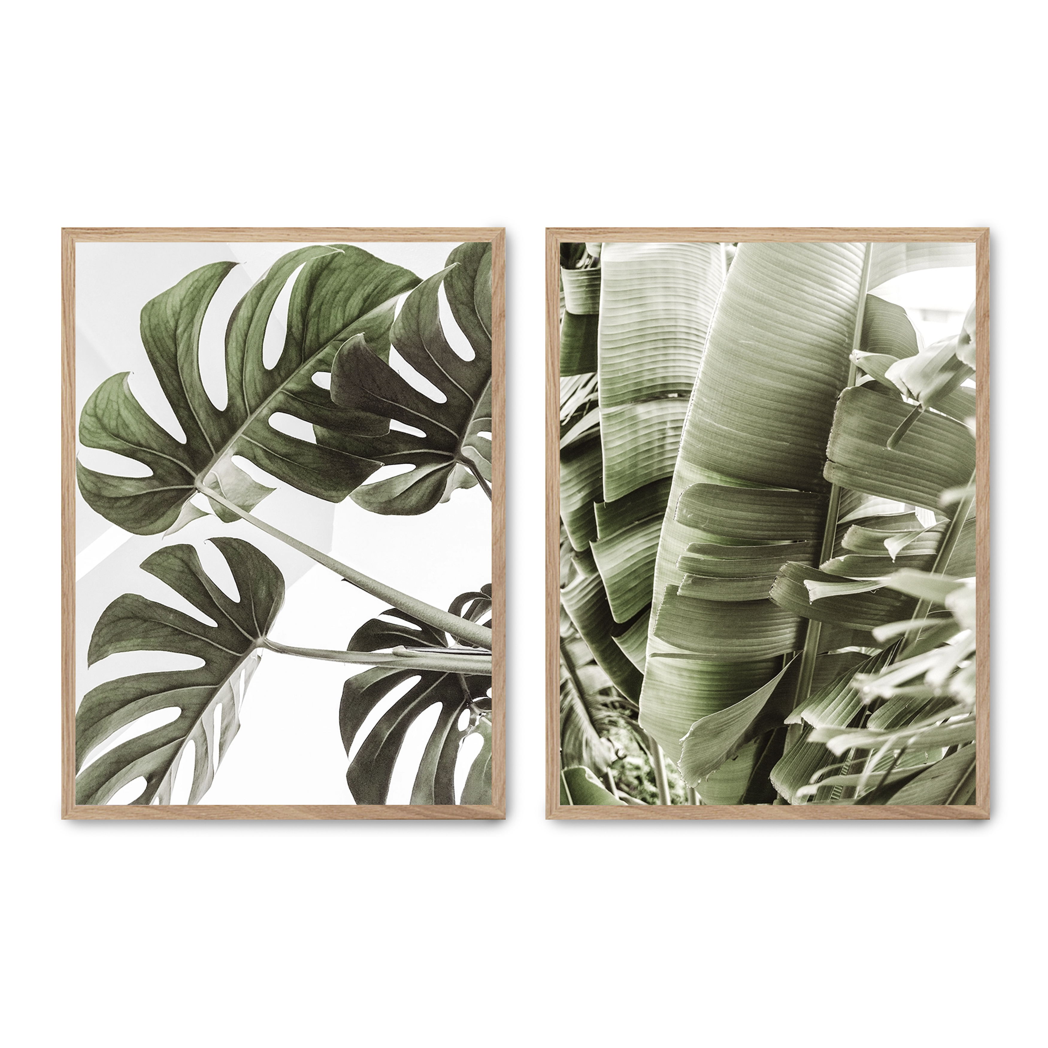 Set compuesto por dos cuadros con marco roble 30x40cm, Póster impreso en papel de calidad premium de 180gr, montado en marco de madera MDF con acabado en color roble, SETS