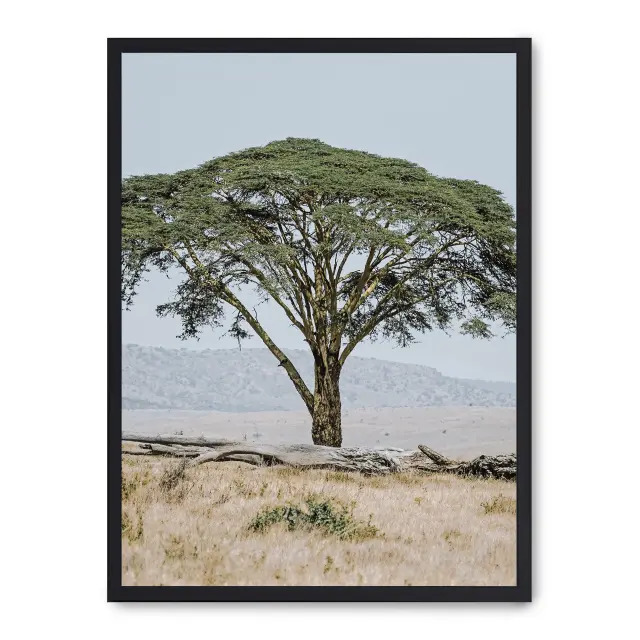 Cuadro tree in the savana ii 30x40cm, Póster impreso en papel de primera calidad de 180gr, montado sobre marco de madera MDF acabado en negro., Naturaleza - Safari