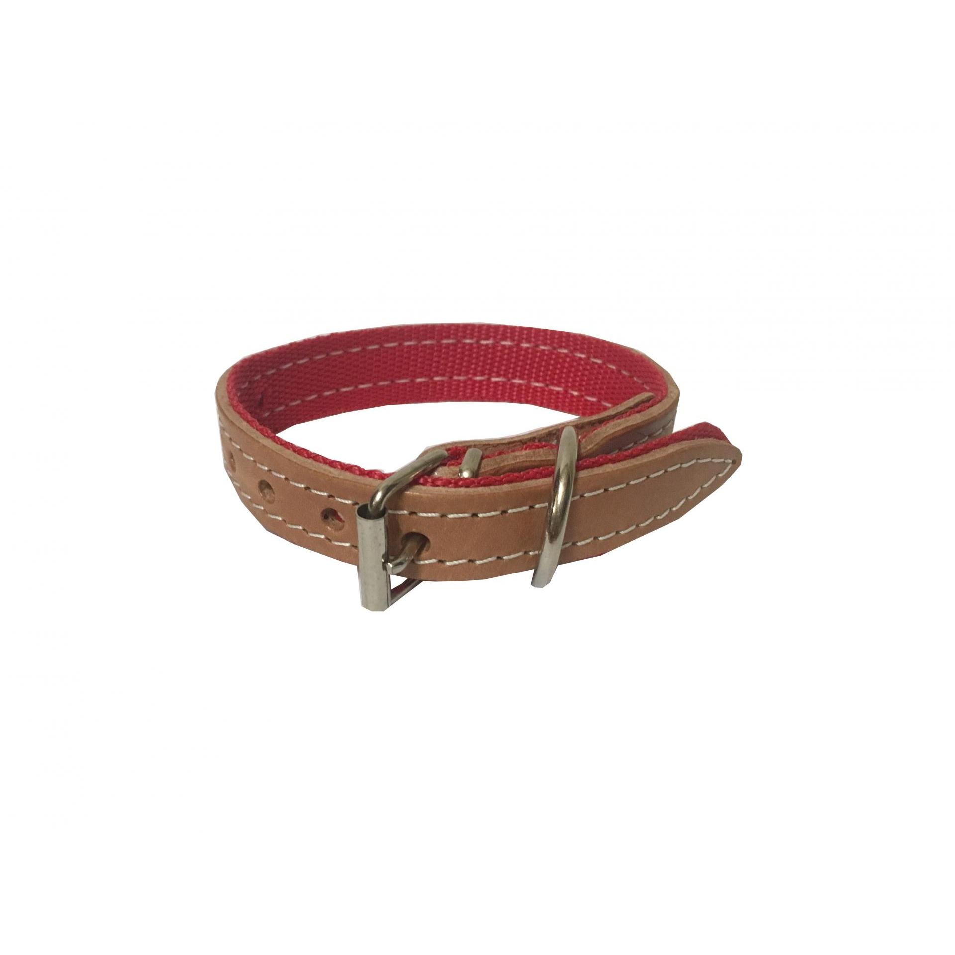 Patacho Collar de Cuero y Nylon para Perros, Gatos y Animales en General