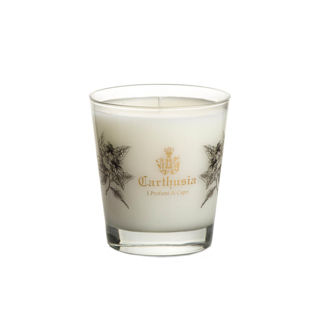 Carthusia Secret Oud vela perfumada de Oriente Medio 260g