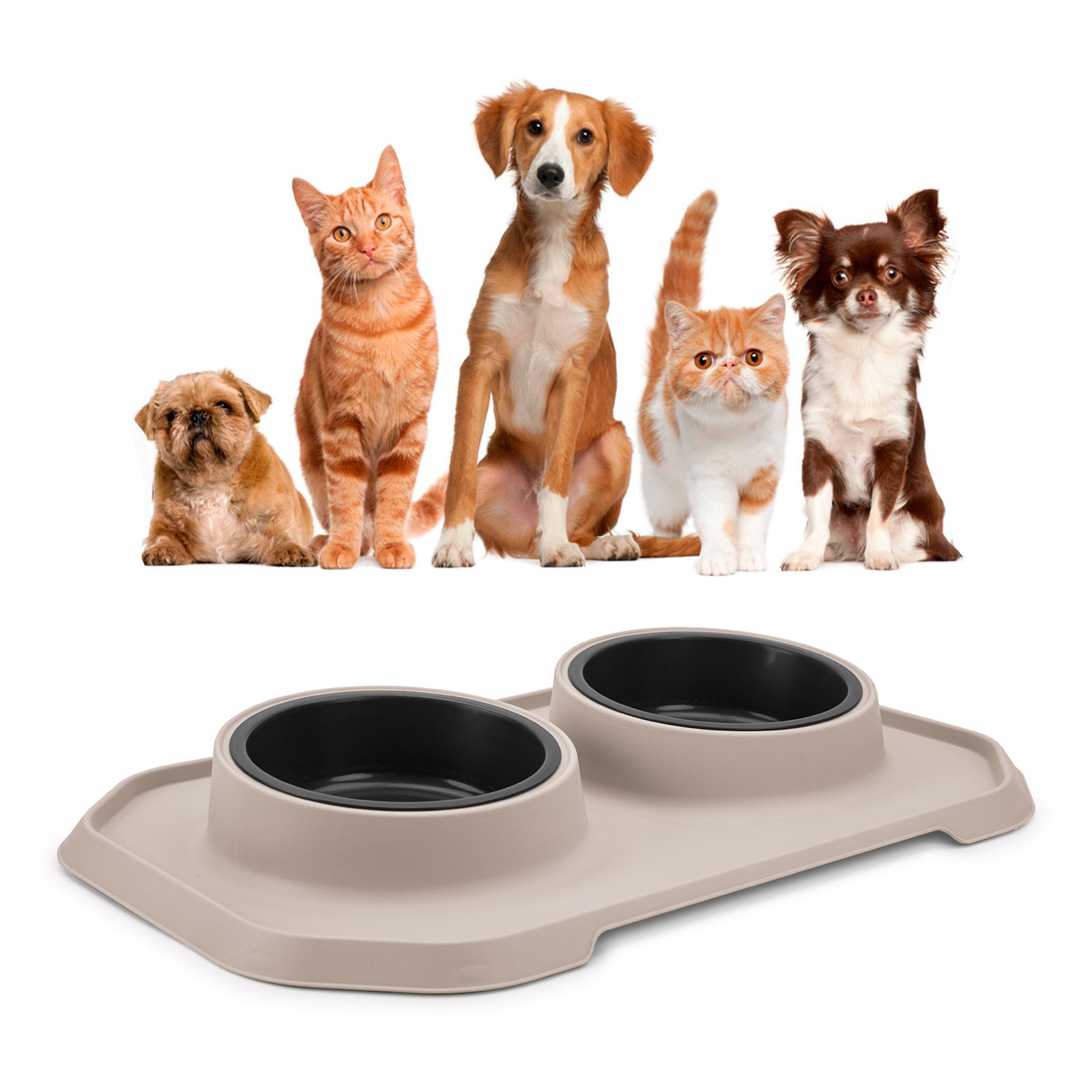 Plastiken Koko - Comedero Doble 0.5L + 0.5L para Mascotas con Base. Ecru