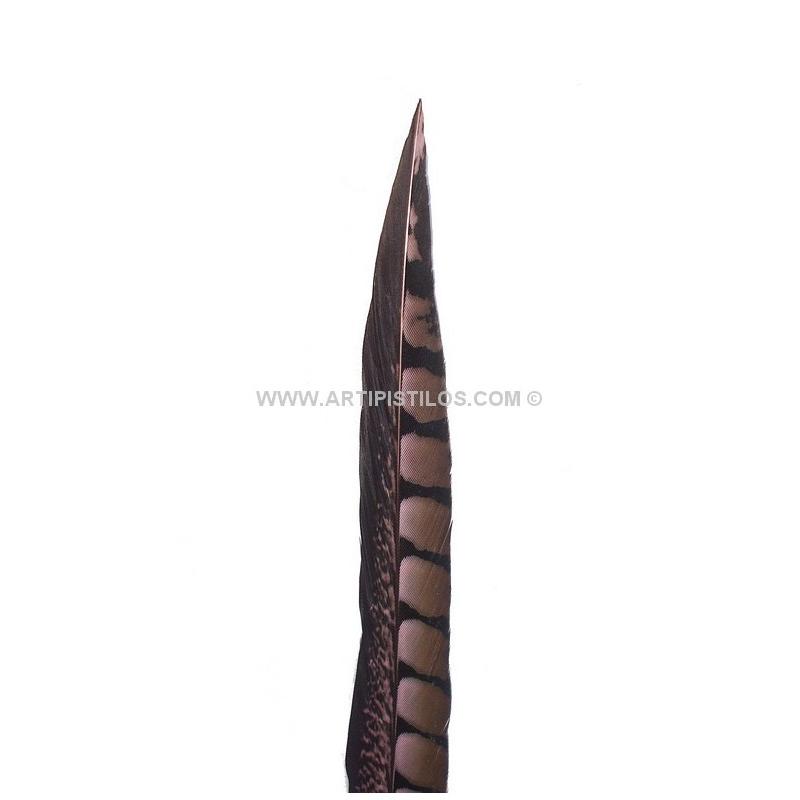 Pluma Faisán Lady Amherst 40-45 Cms - Sombreros | Alta Calidad
