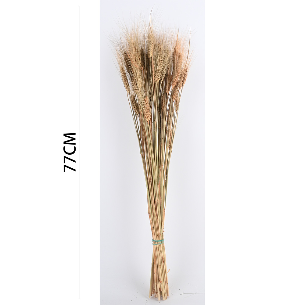 Poenia Arte Floral - Trigo Preservado 77cm - REF 7152 - Decoración del Hogar - DIY para Mesa - Boda