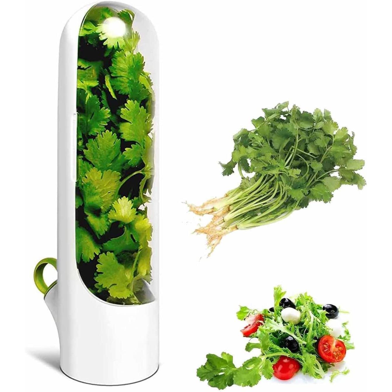 RELAXTY Conservador de Hierbas Frescas - Porta Almacenaje de Hierbas para Frigorifico Recipiente Contenedor Verduras