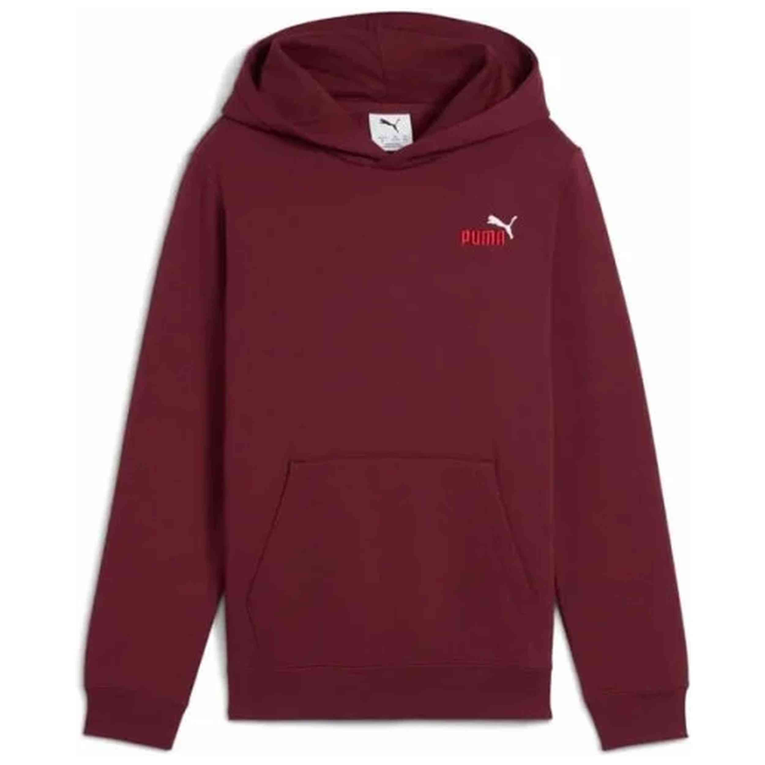 Sudadera Con Capucha Puma modelo 685825-96 para Niños en color Marron
