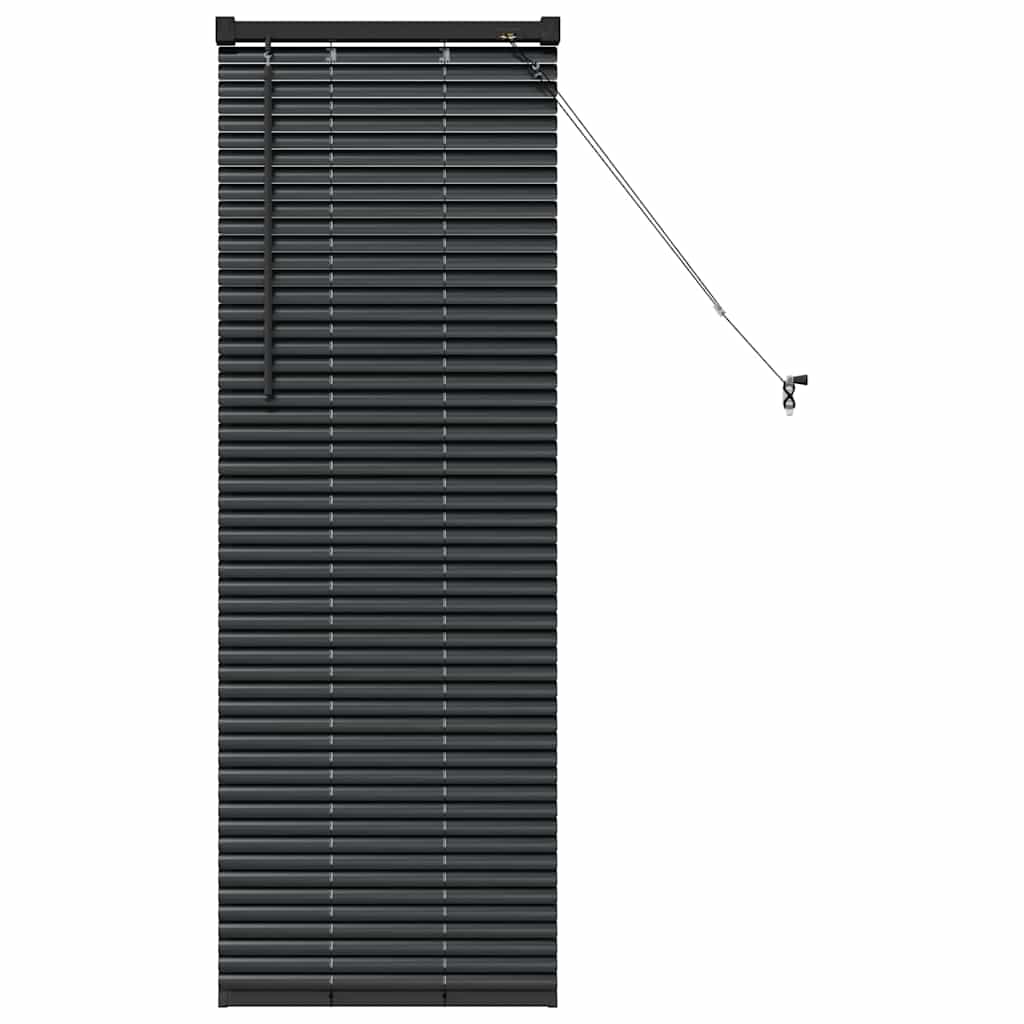 vidaXL Persianas venecianas Manual Negro 130 x 50 cm Aluminio