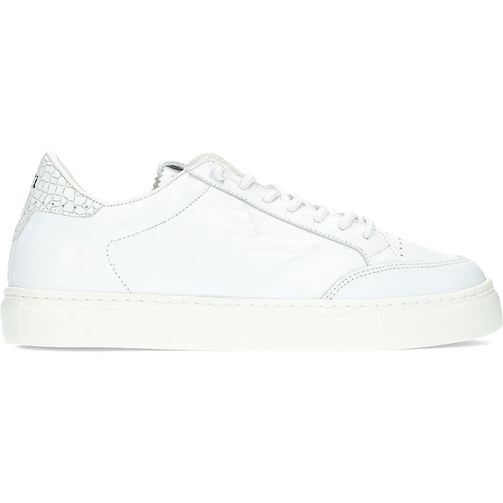 DEPORTIVAS CETTI SPORTIVE C1307