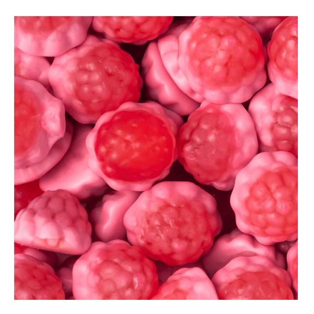 VIDAL rellenolas gran surtidos de modelos para elegir bandeja de 795gr Sabor variados Sin gluten Sin grasa Vidal sabor Original garantizada