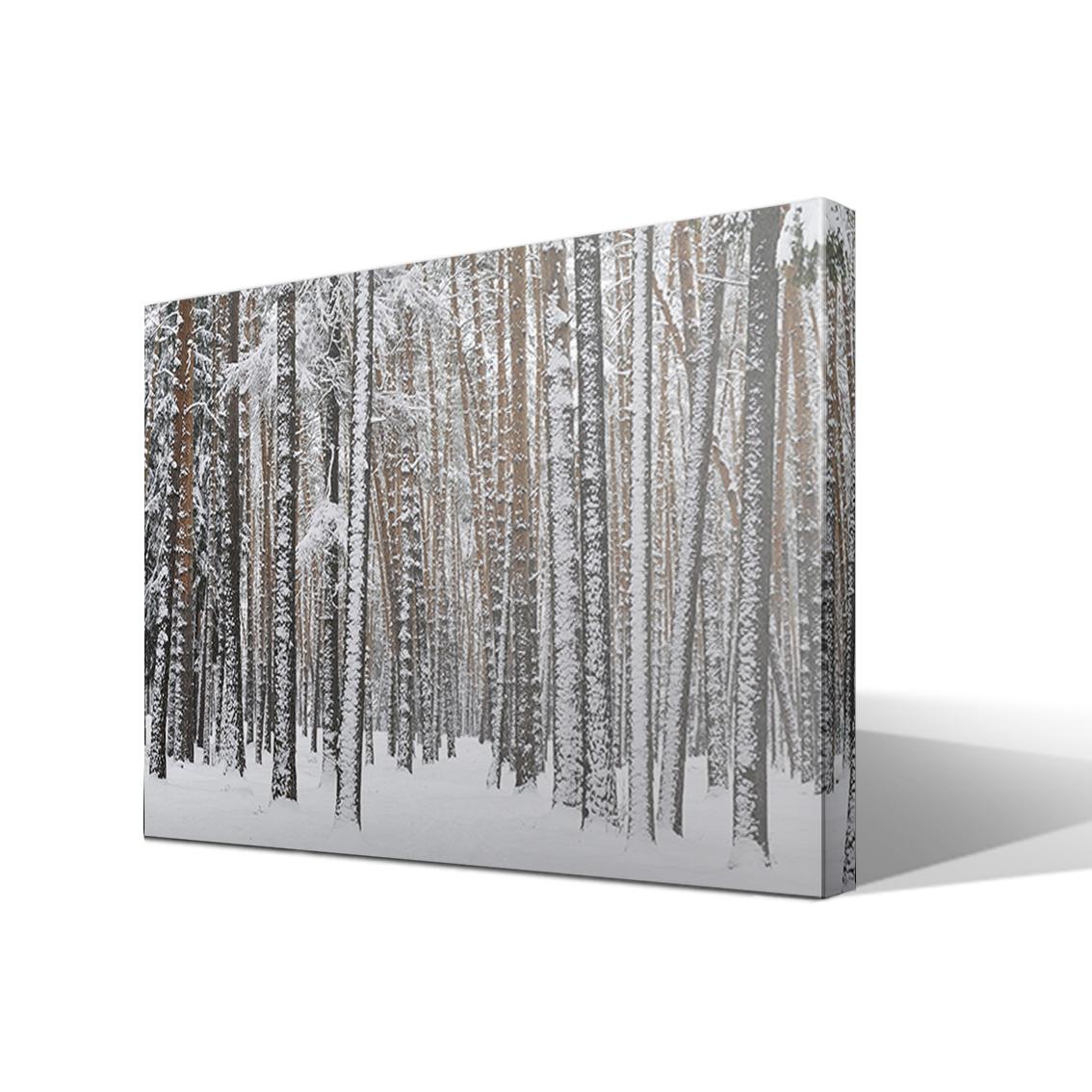 Cuadro Canvas Bosque Nevado - Alta Resolución - Lienzo 100% Algodón - Bastidor Abeto - Fabricado en España