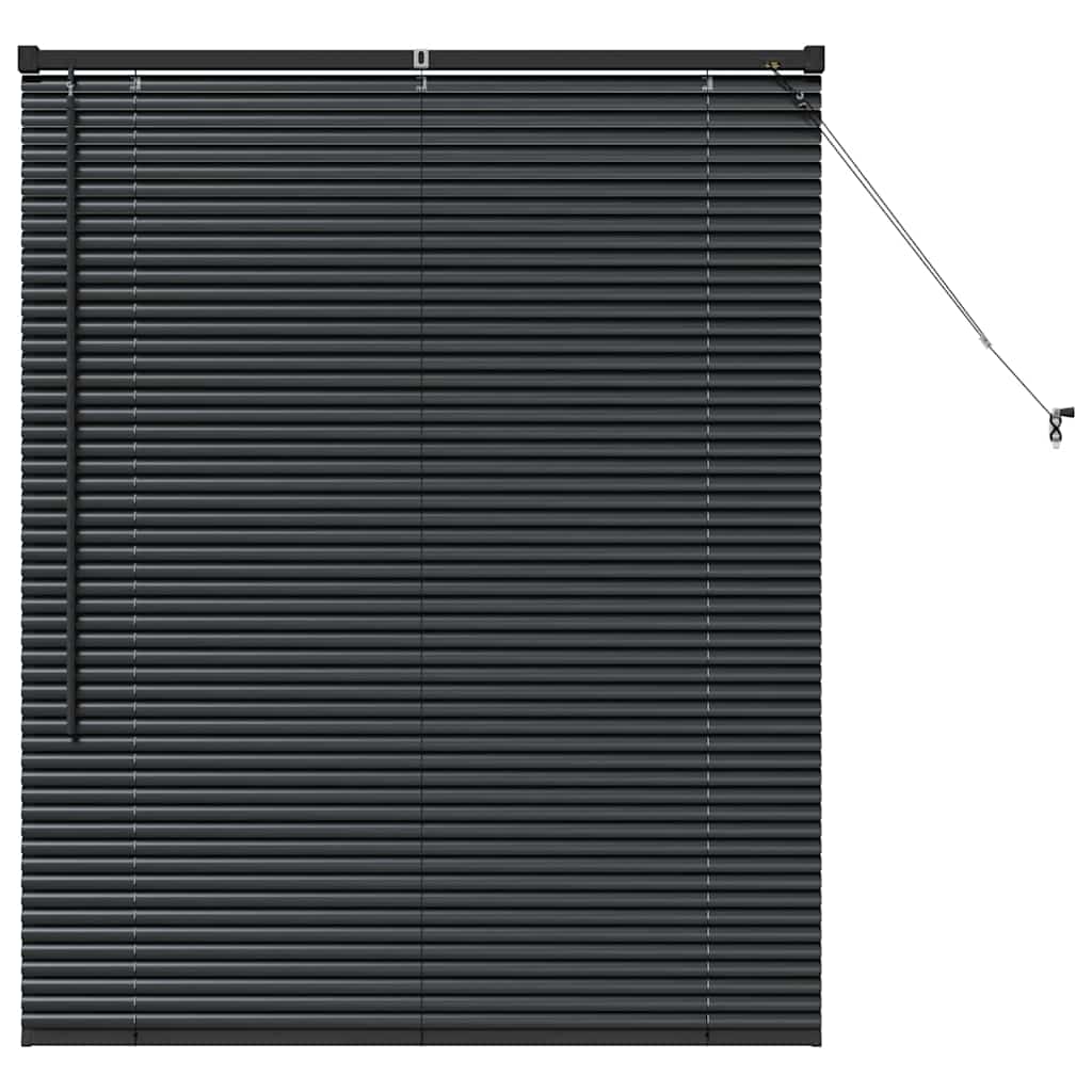 vidaXL Persianas venecianas Manual Negro 130 x 100 cm Aluminio