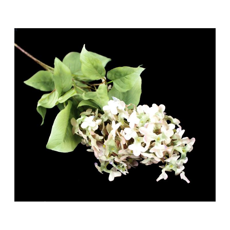 Rama de lilar "SYRINGA