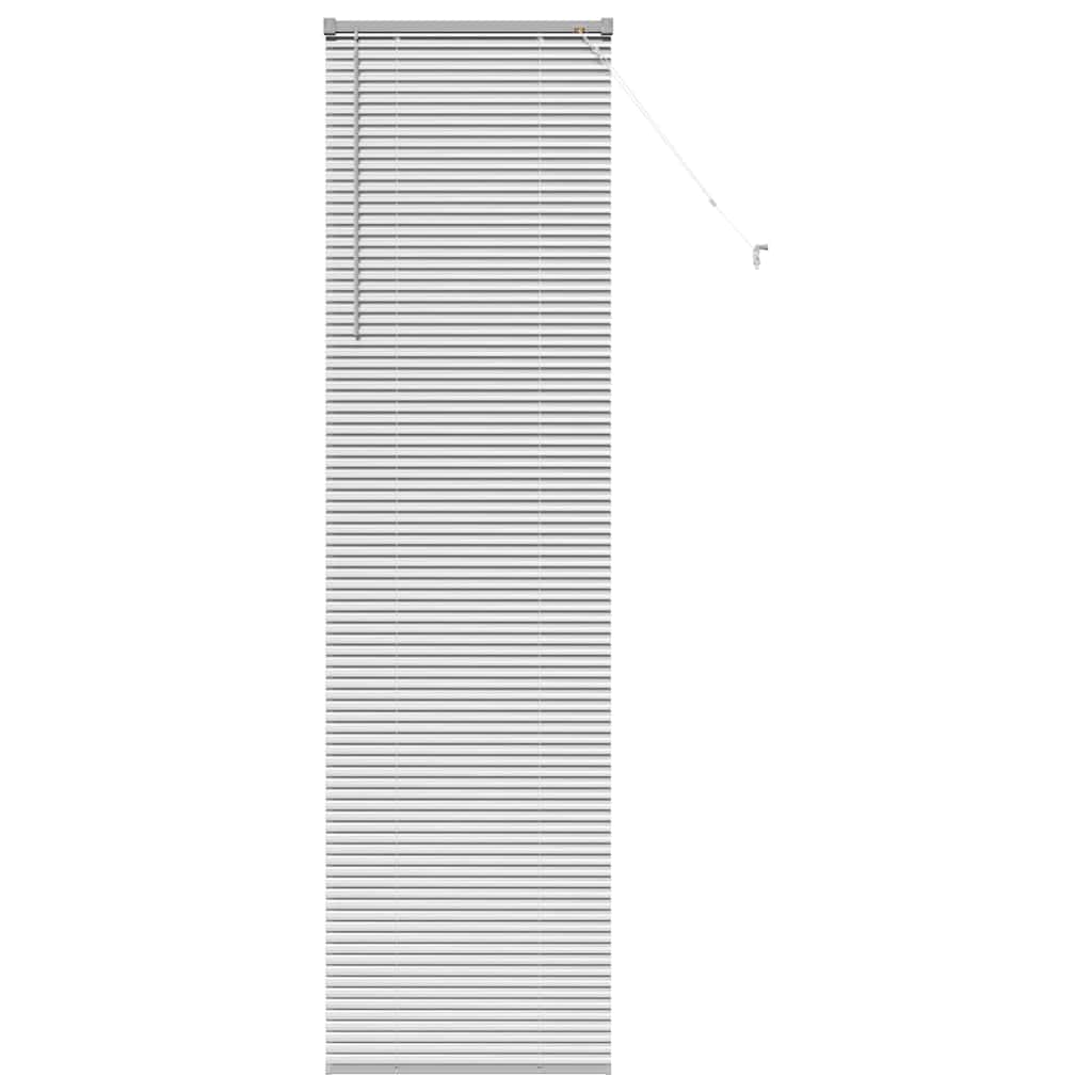 vidaXL Persianas venecianas Manual Plateado 220 x 65 cm Aluminio