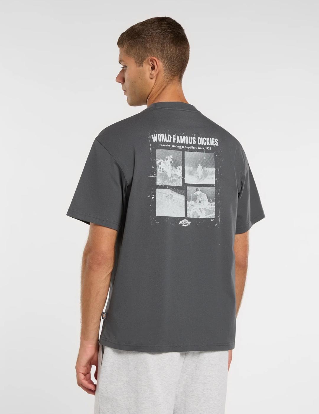 DICKIES CAMISETA GRIS OSCURO WOLFHURST