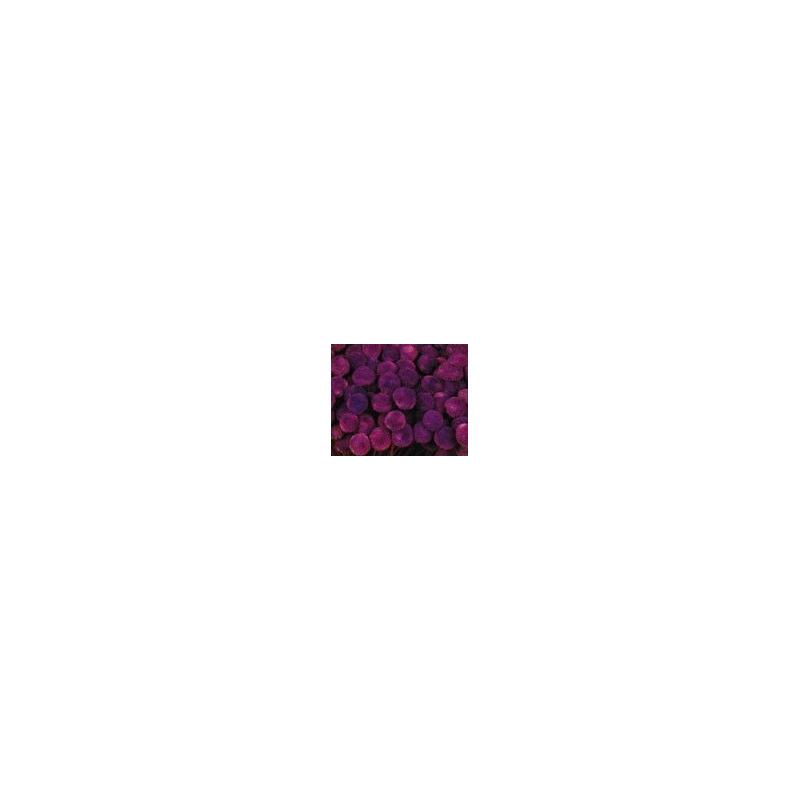 Botao Preservado 25g X 45cm Raíz Flores Aterciopeladas