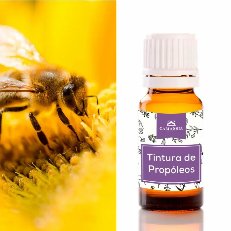 Camassia Tintura de propóleos | Principios activos naturales | en alcohol puro