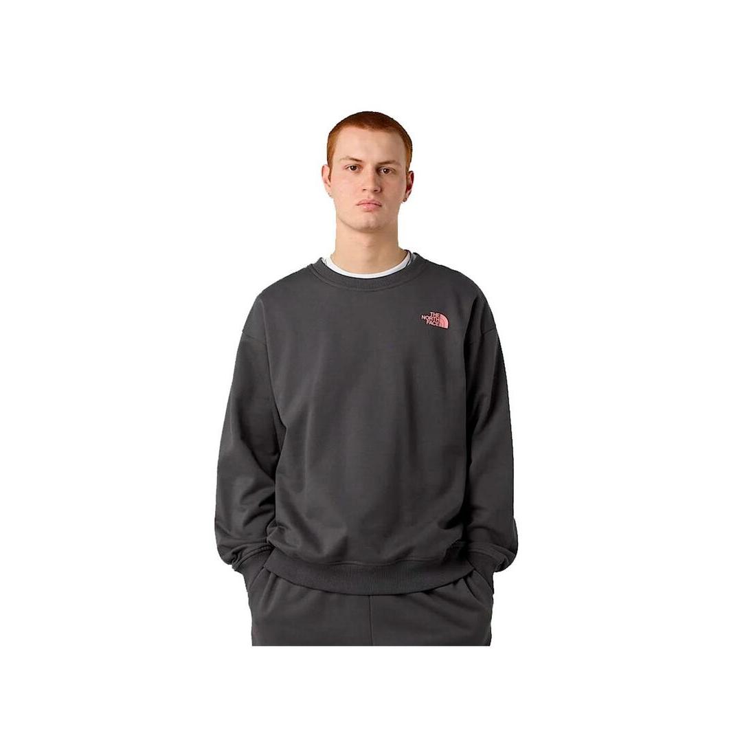 Sudadera Hombre The North Face Expedition Gris
