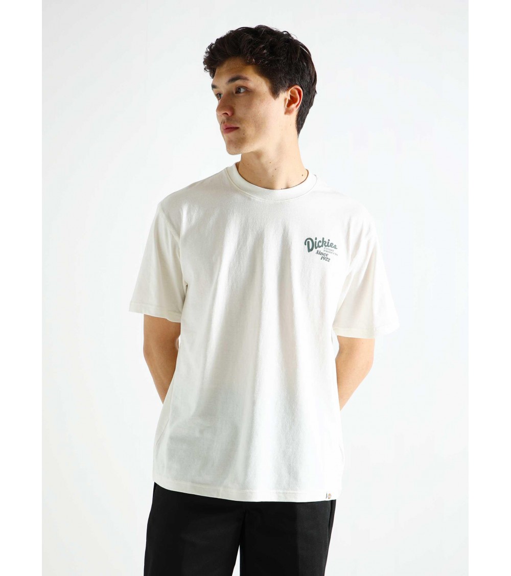 Dickies Camiseta Hombre Raven Tee DK0A4YYMC581