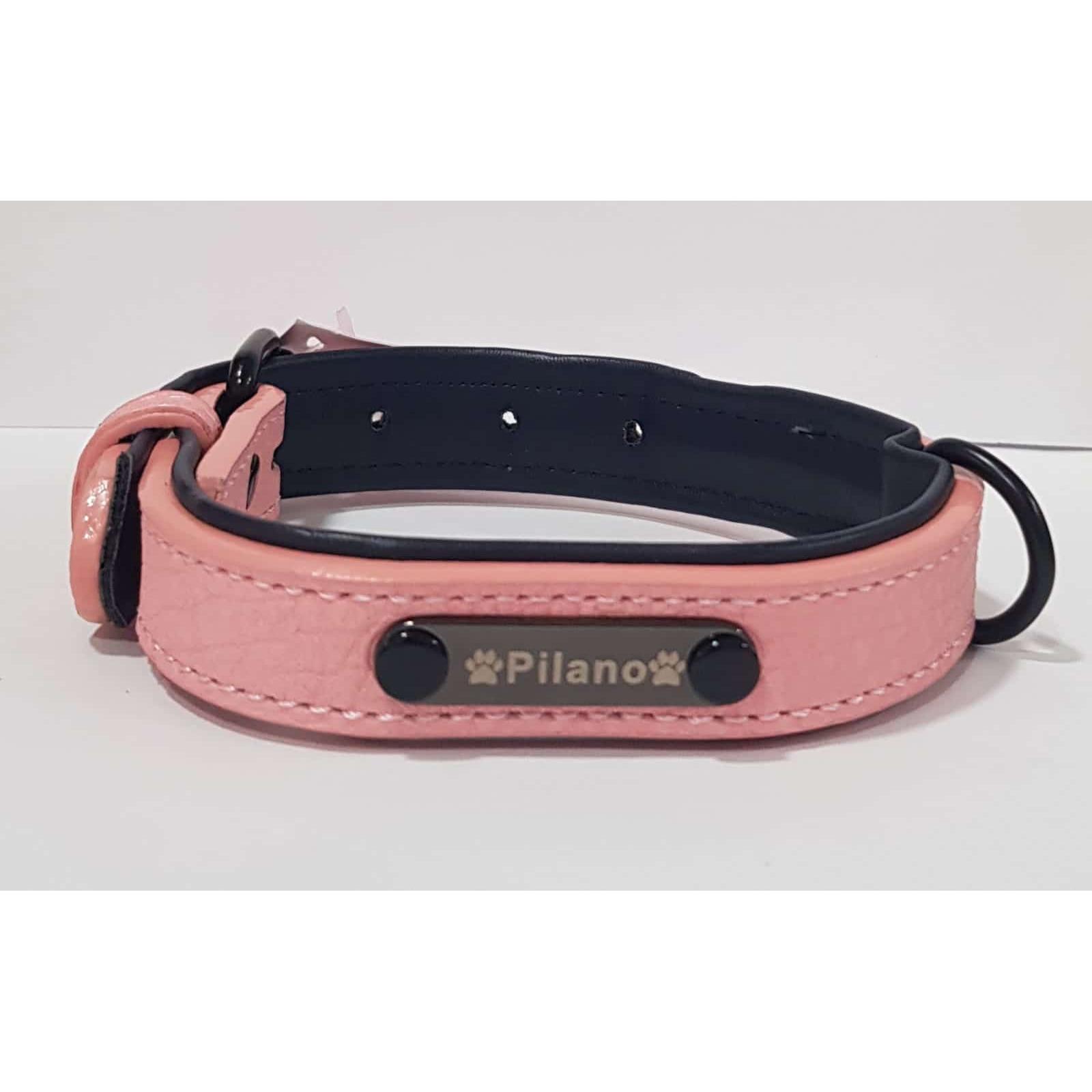 Collar de Cuero Pilano para Perro Talla M - Acolchado Suave y Ajustable - Resistente y Cómodo - Varios Tamaños