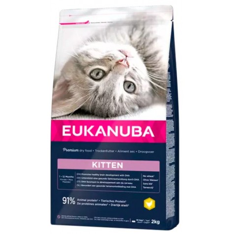 Eukanuba Kitten Para Gatitos 10 Kg