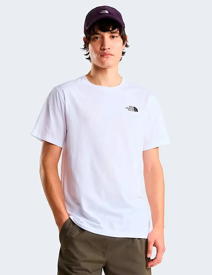 Camiseta Hombre The North Face Evolution Nf0A8B6Kfn41