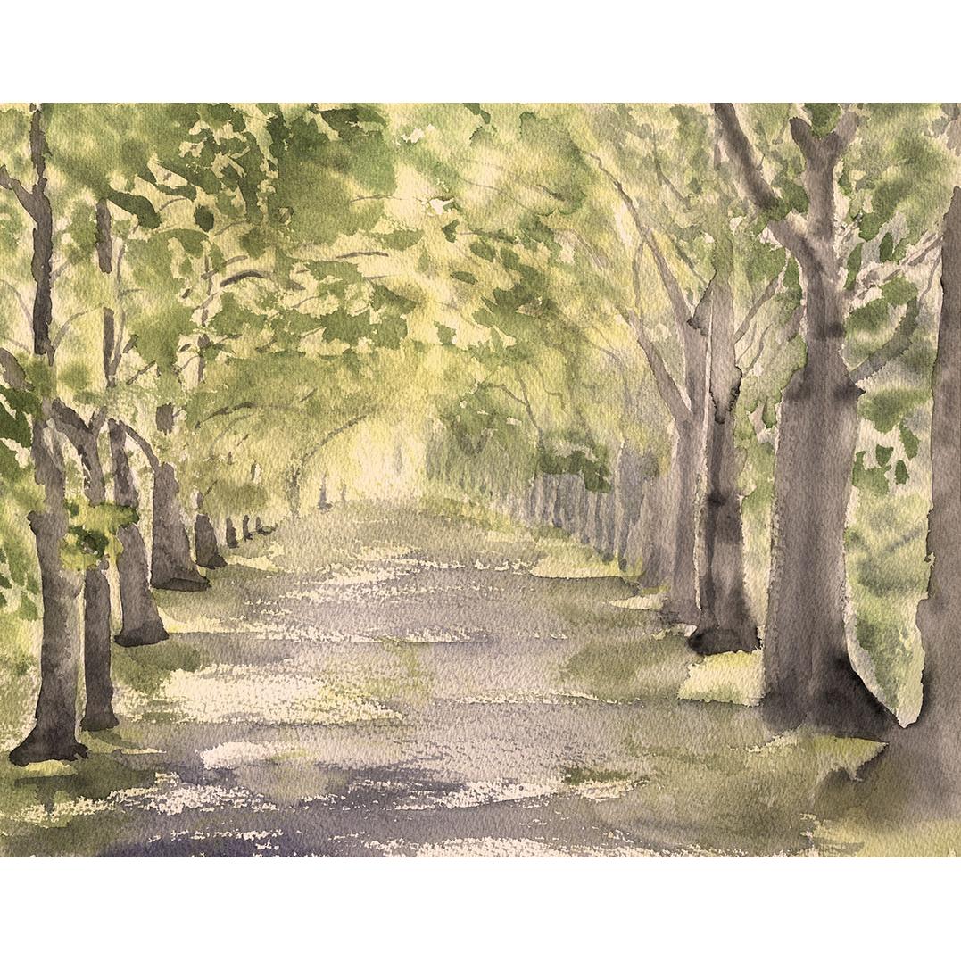 Cuadro decoración pared LIENZO SIN ENMARCAR paisaje horizontal grande "CAMINO DE VERANO" Acuarela Lienzo Alta Calidad Arboles Bosque Luz Naturaleza Arte Contemporáneo Verde Sepia Grises dorado Neutro rojizo Salón Pasillo Comedor Ref ANA DURAN A 086 H