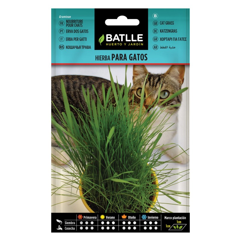 Batlle - HIERBA PARA GATO  SOBRE