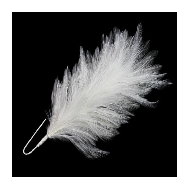 MONTAJE DE PLUMAS DE CUELLO DE GALLO