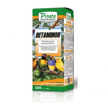 Pineta - Betaminor (Liquido) - 24g