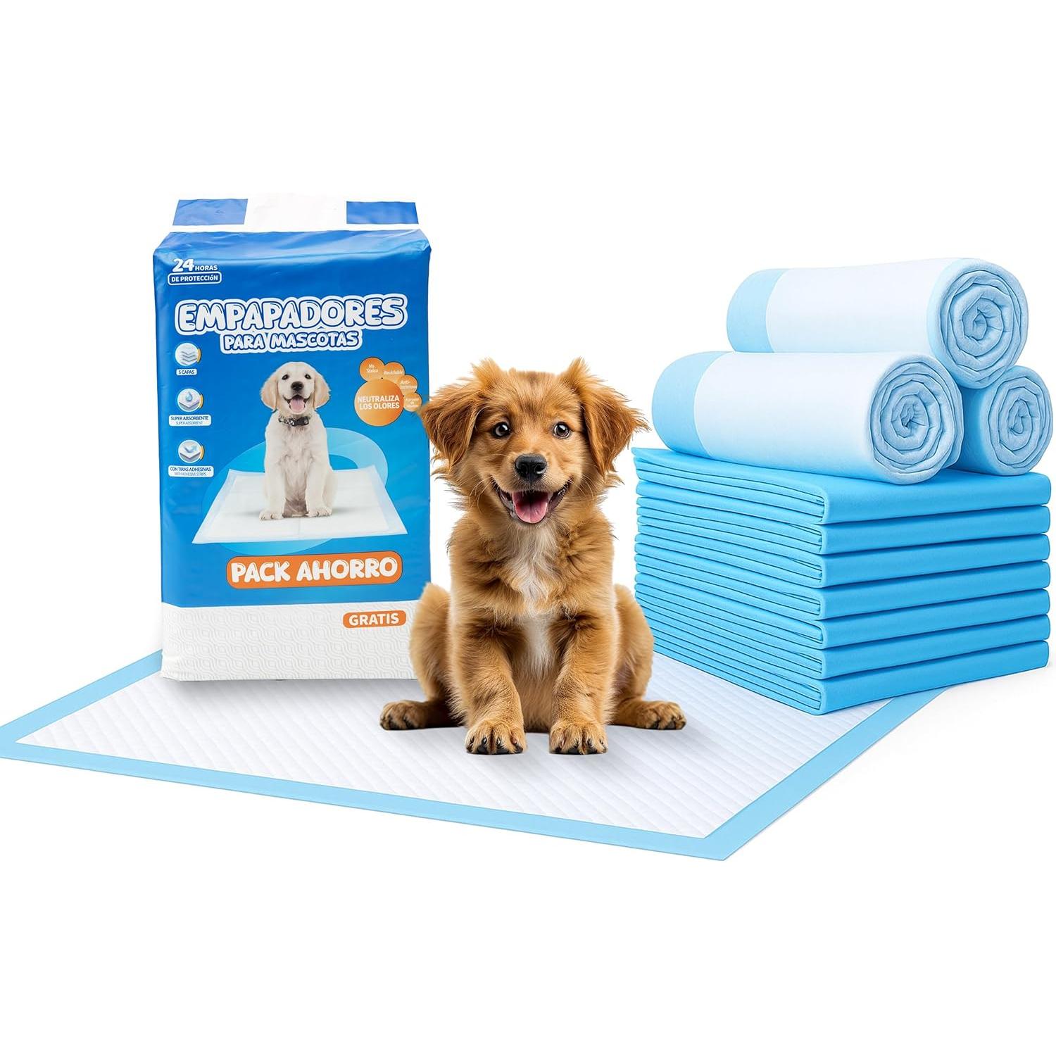 C.A | Empapadores para Perros 🐶 | Alta Absorción | Base Adhesiva y Antideslizante | Control de Olores | Ideales para Entrenamiento