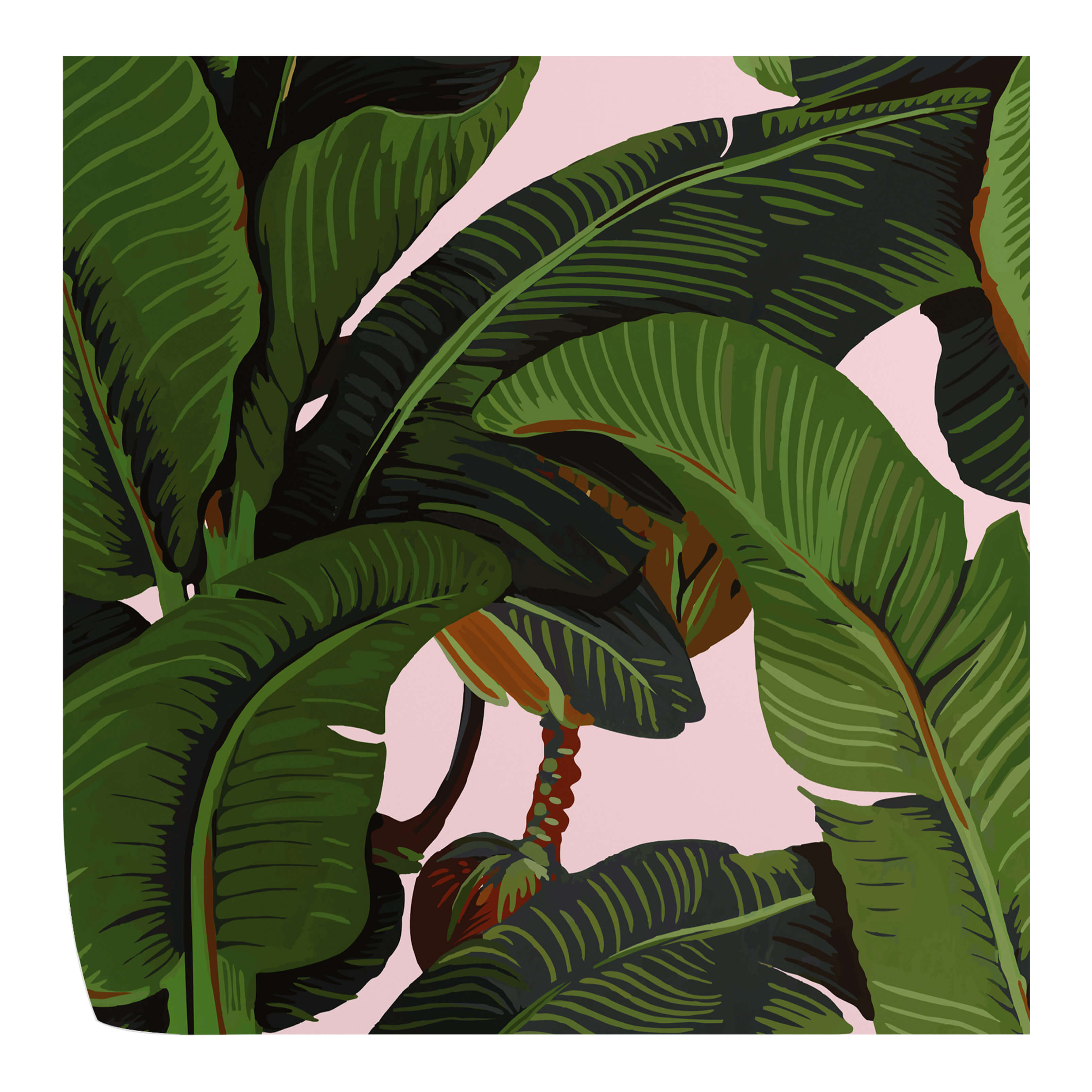 Wallpapers4Beginners Tropicali Carta da Parati Foglie di Banano Rosa